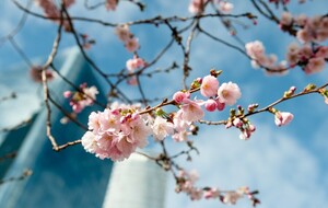 VACANCES DE PRINTEMPS