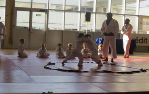 Judo 4/5 ans