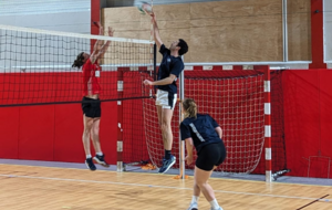65f03117643ff_VOLLEY3.png