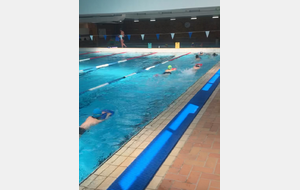 Initiation aux palmes