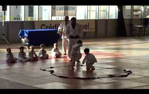 JUDO Fête des Sports de Combat 2017