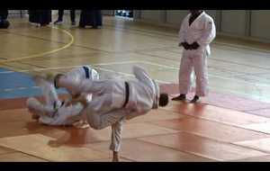 JUDO Fête des Sports de Combat 2017