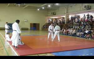 JUDO Fête des Sports de Combat 2017