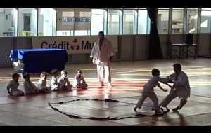 JUDO Fête des Sports de Combat 2017