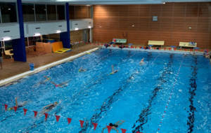 NATATION : STAGE COMPÉTITION NARBONNE