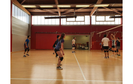 VOLLEY BALL