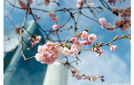 VACANCES DE PRINTEMPS