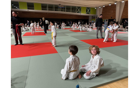 JUDO : ANIMATION DE PARIS